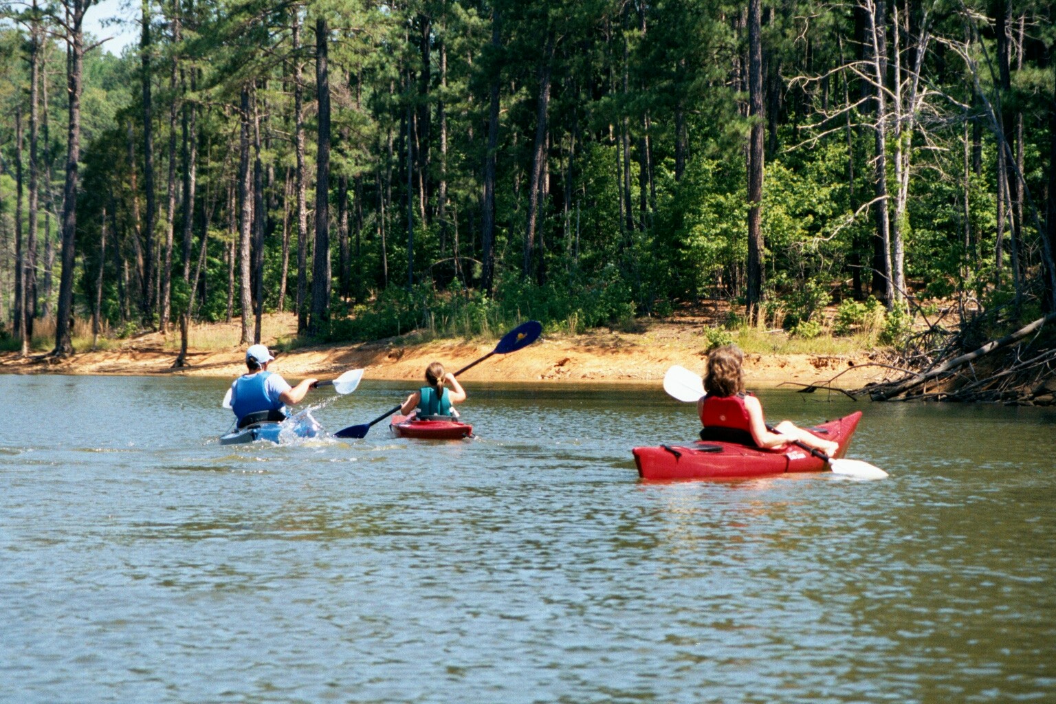 ./2002/Falls Lake 3/2002 Family Campout0015.jpg